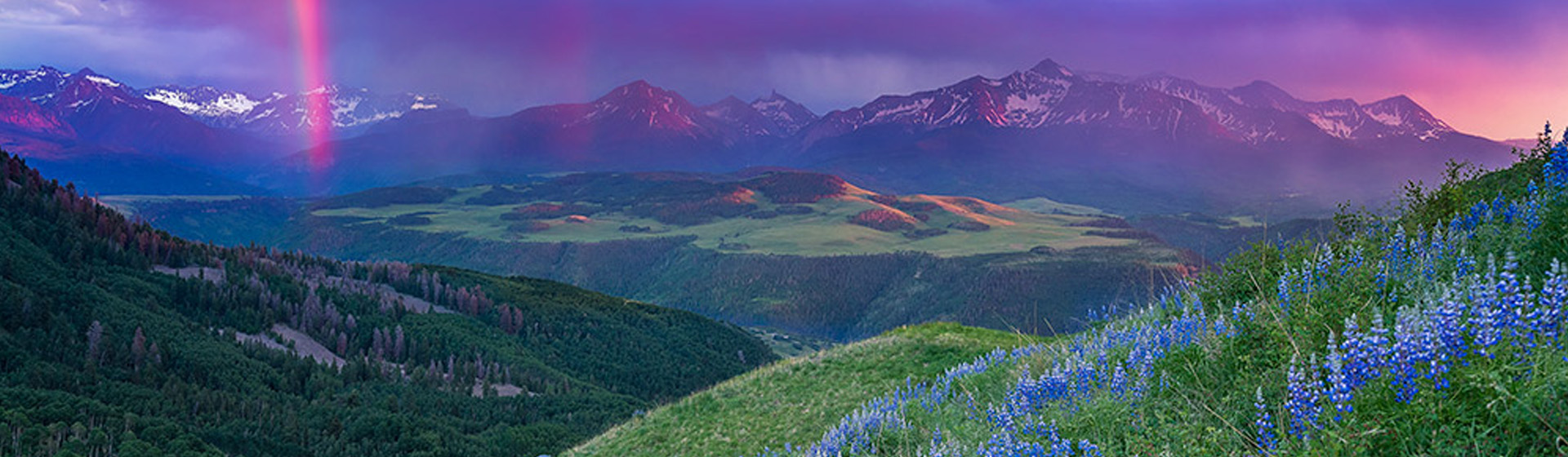A rainbow and storm light over the San Juan Mountains with blue lupine in the foreground